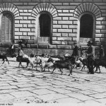 foto antica di brogi, la vita nelle strade di napoli