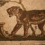 pantera, mosaico, collezione sant angelo