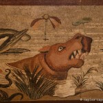 Visite du musée archéologique de Naples - Pompéi et Herculanum