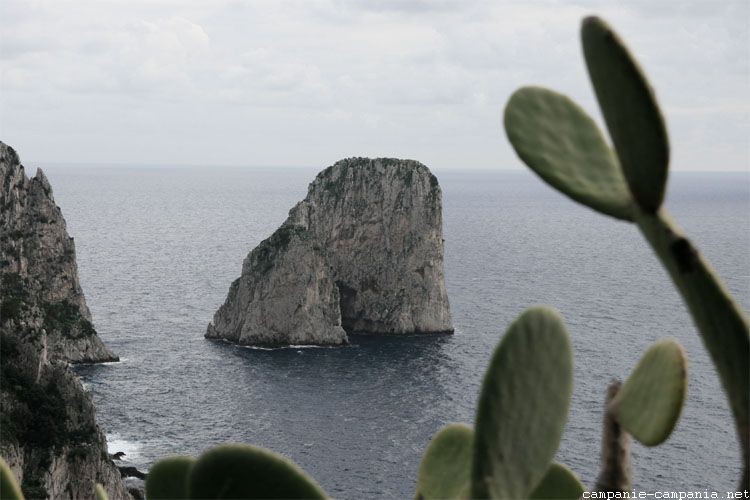 Les Faraglioni, Capri