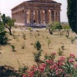 Paestum, Temple de Neptune