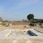 paestum_case