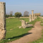 foto di Paestum