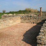 paestum_mosaici_case