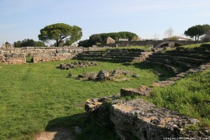 Comitium, Paestum