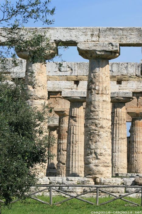 Temples grecs de Paestum