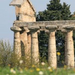 Temple d'Athéna, Poseidonia