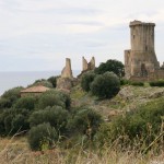 velia, parco del cilento