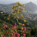 giro-di-ischia_2595