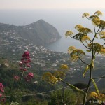 giro-di-ischia_2596