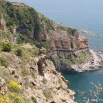 ischia-costa-sud-ovest_2570