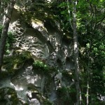 ischia-monte-foresta_2592