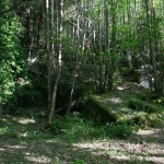 ischia-monte-foresta_2593