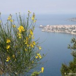 ischia-punta-imperatore_2582