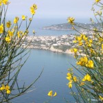 ischia-punta-imperatore_2586