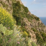 ischia-scaruupata_2502